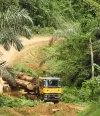 Renault Trucks K transporting logs in Africa