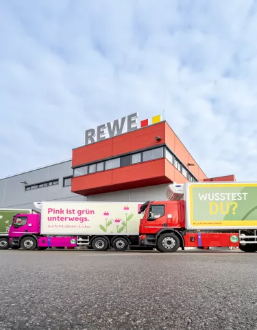 Rewe Group D Wide HEAD